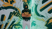 Baseball Bison GIF by NDSU Athletics
