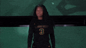 Ncaa Sports Sport GIF by Wright State University Athletics