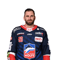 Ice Hockey Yes Sticker by Selber Wölfe