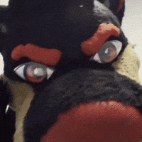 Confused Eyes GIF by Bearcat