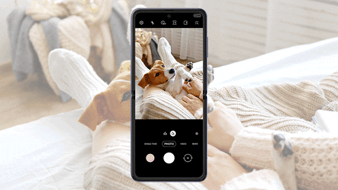 leeviolet giphyupload GIF