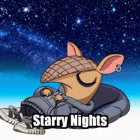 Stars Camping GIF by Chillo Dillo