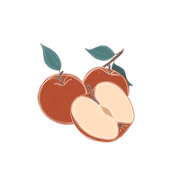 Illustration Colors Sticker