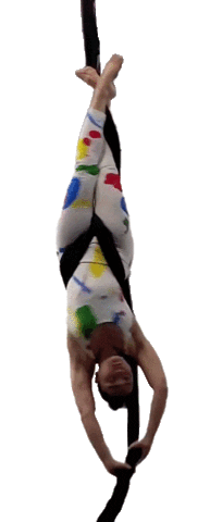 Aerial Silks Sticker by Polecats Manila