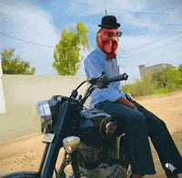 Ravinagra GIF