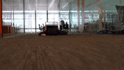 GIF by The Goat Agency
