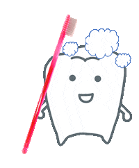 sundentalsam teeth toothbrush brushing はみがき Sticker