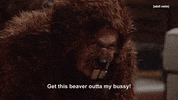 Tim And Eric Beaver GIF by Adult Swim