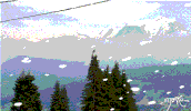 cat ski GIF by marko