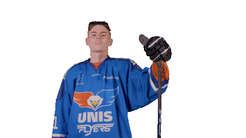 Hockey Van Sticker by UNIS Flyers