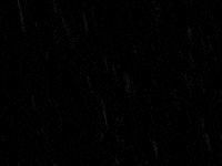 Lords Of Salem GIF by Rob Zombie