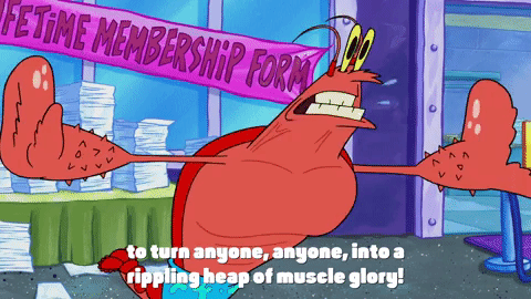 season 9 GIF by SpongeBob SquarePants