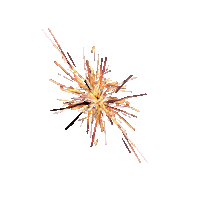 weinventyou sticker stickers explosion fireworks Sticker