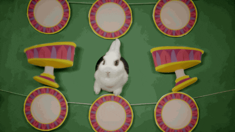 baby animals bunny GIF by Disney
