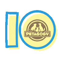 Pittsburgh Pet Store Sticker by Petagogy