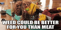 GIF by The Heckler by TBS