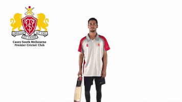 CaseySouthMelbourneCC swans csmcc caseysouthswans GIF