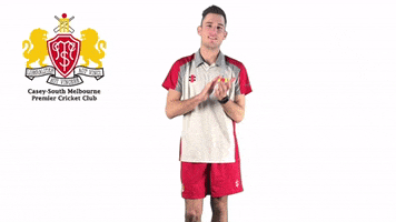 CaseySouthMelbourneCC swans csmcc caseysouthswans GIF