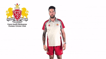 CaseySouthMelbourneCC swans csmcc caseysouthswans GIF