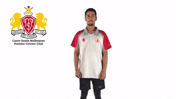 CaseySouthMelbourneCC swans csmcc caseysouthswans GIF