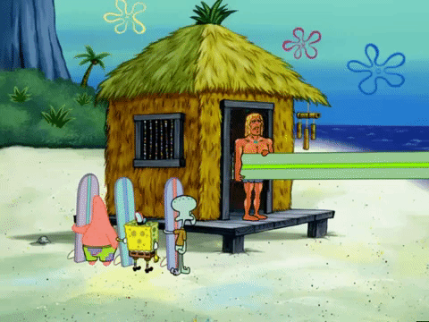season 6 GIF by SpongeBob SquarePants