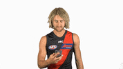 essendonfc dons bombers essendon essendon fc GIF
