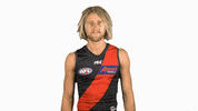 essendonfc dons bombers essendon essendon fc GIF