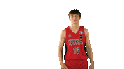 Cskabasket Sticker by CSKA Moscow