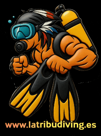 GIF by Buceo Madrid