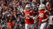 High Five Football GIF by New England Patriots