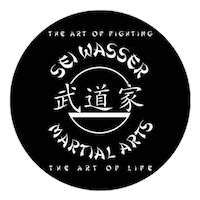 Artistoflife Sticker by Seiwasser