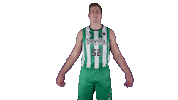 Liga Endesa Basketball Sticker by ACB
