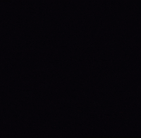 Happy Birthday Party GIF