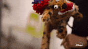Jeff Goldblum Dogs GIF by National Geographic Channel