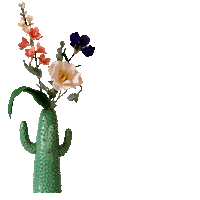 Cactus Sticker by Viltbloemist