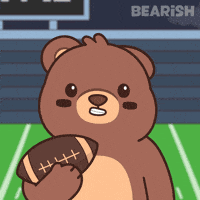 Super Bowl Win GIF by BEARISH