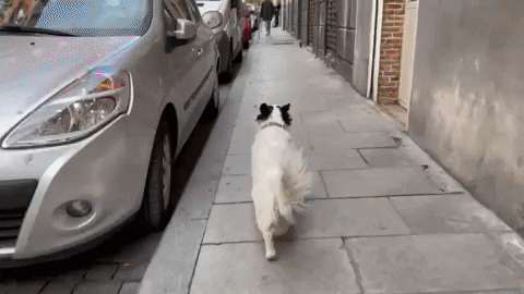 hipertextual  GIF