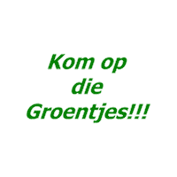 Sport Heerlen Sticker by Groene ster