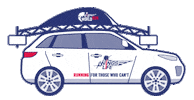 Wingsforlife Wflwr Sticker by Red Bull