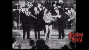 Party Dancing GIF by Better Noise Music