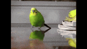 mission GIF