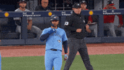 Blue Jays Celebration GIF by Toronto Blue Jays