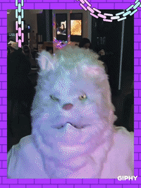 framebeta GIF