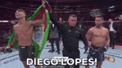 Mixed Martial Arts Sport GIF by UFC