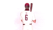 Baseball Roll Pards GIF by Lafayette Leopards