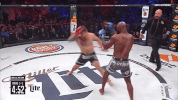 GIF by Bellator