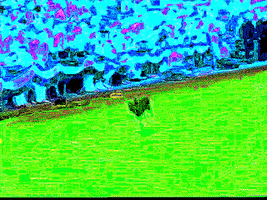 MFDtheArtist dog trippy weird animal GIF