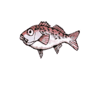 yasuokakamaboko 安岡蒲鉾 ハランボ ホタルジャコ Sticker