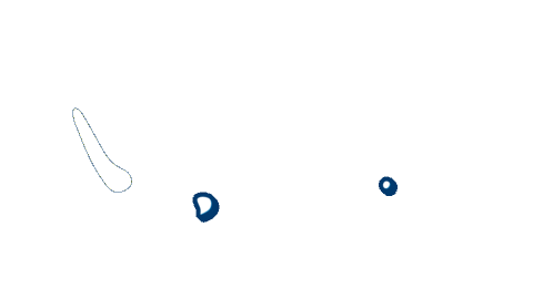 Sticker by Peak Automotiva