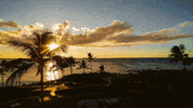 Hgv GIF by Switzerfilm